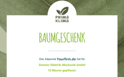 Zentner Elektrik-Mechanik GmbH 10 Bäume gepflanzt