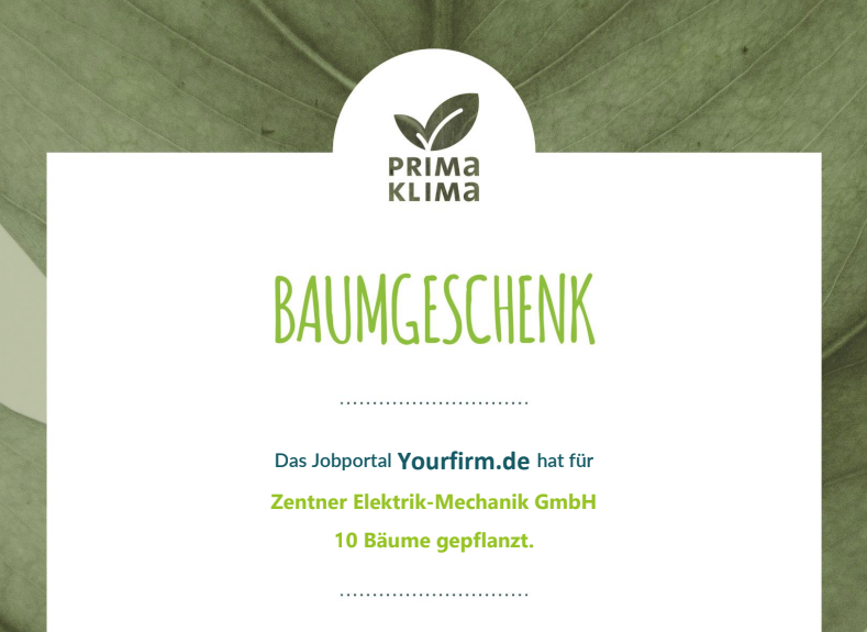 Zentner Elektrik-Mechanik GmbH 10 Bäume gepflanzt